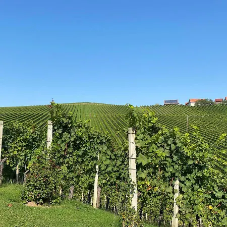 Wein Kultur Flavia Solva