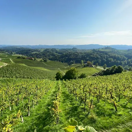 Lejlighed Wein Kultur Flavia Solva Wagna