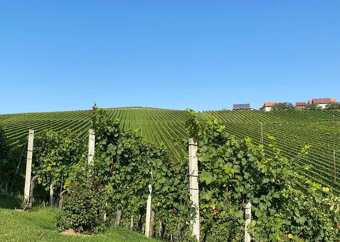 Wein Kultur Flavia Solva