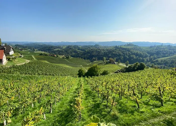 公寓 Wein Kultur Flavia Solva 瓦格纳