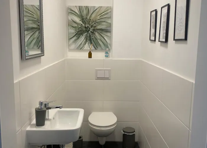 Wein Kultur Flavia Solva * Wagna